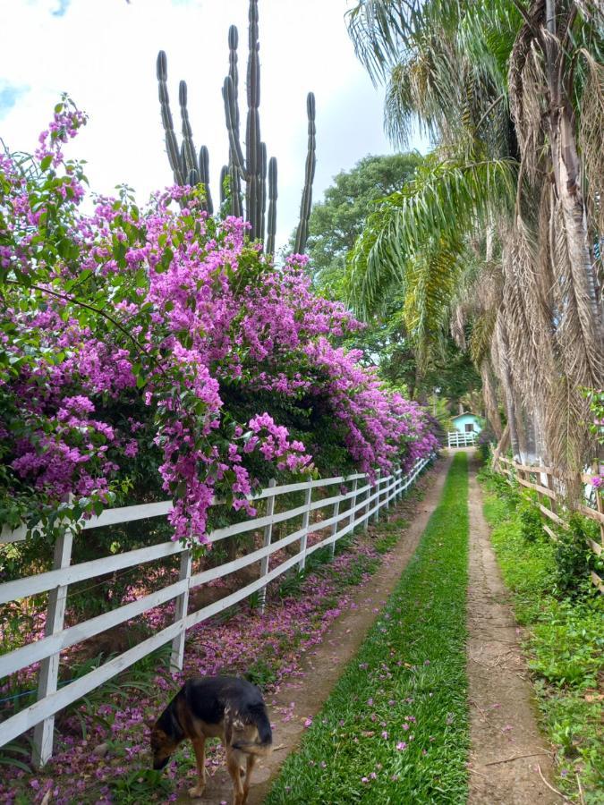 Pousada Recanto Alegre Campestre Bagian luar foto